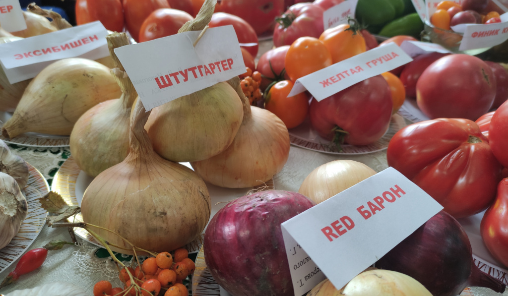 IMG_20210819_104817 -1.jpg