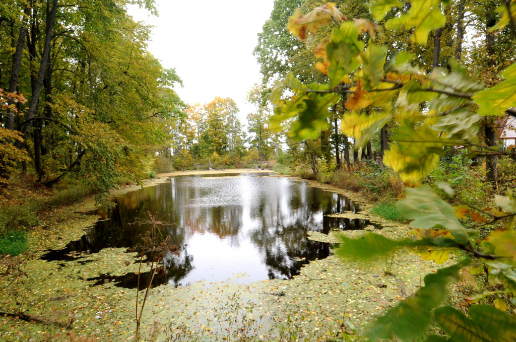 Средний пруд 1.jpg