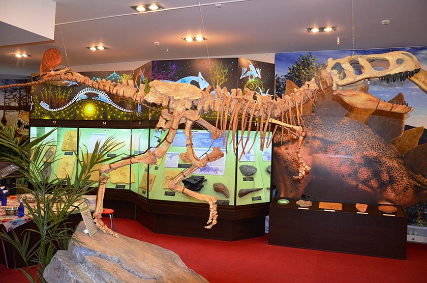 Вятский палеонтологический музей-4.JPG