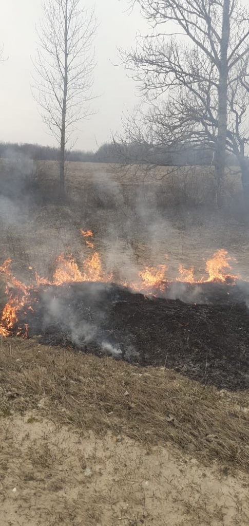 WhatsApp Image 2020-03-30 at 15.00.41.jpeg