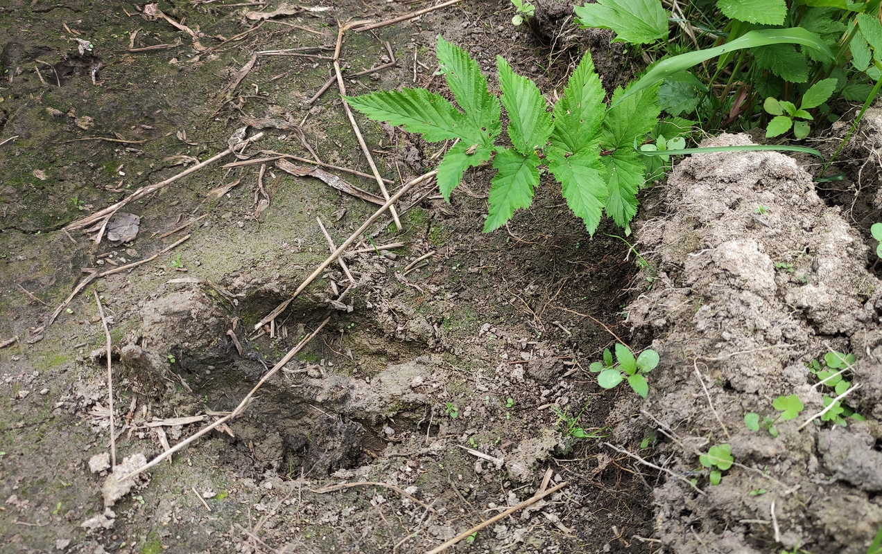 Фото В Кормильцева_76_1.jpg