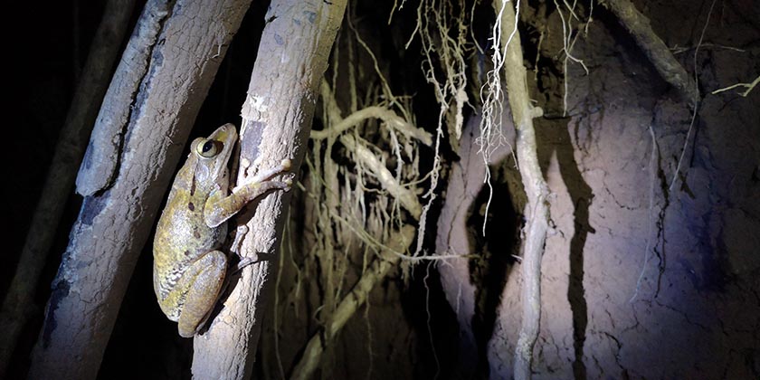 IMG_20200818_225700_resized_20200911_084507924.jpg IMG_20200818_225700_resized_20200911_084507924.jpg