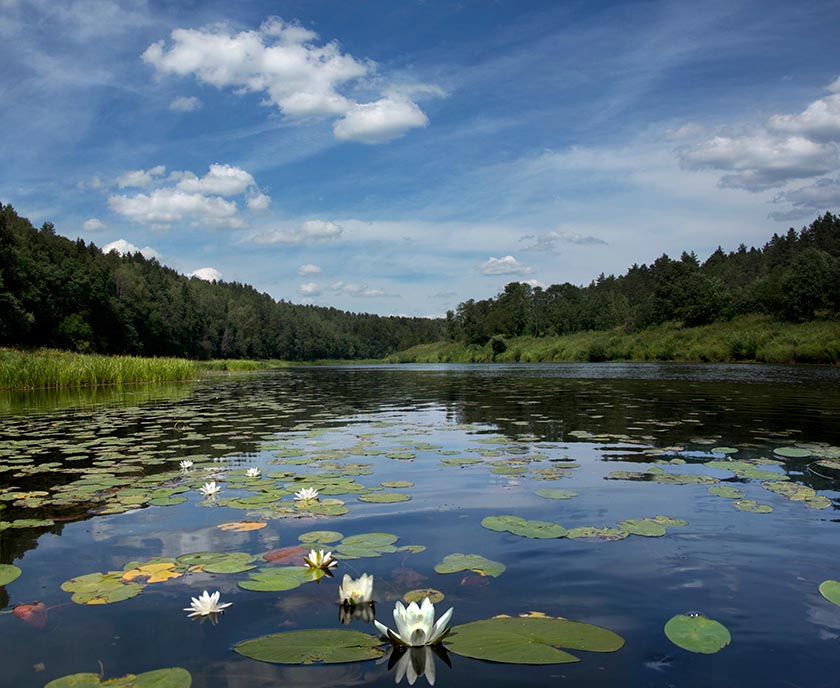 02. река Угра, Борис Борт.jpg 02. река Угра, Борис Борт.jpg