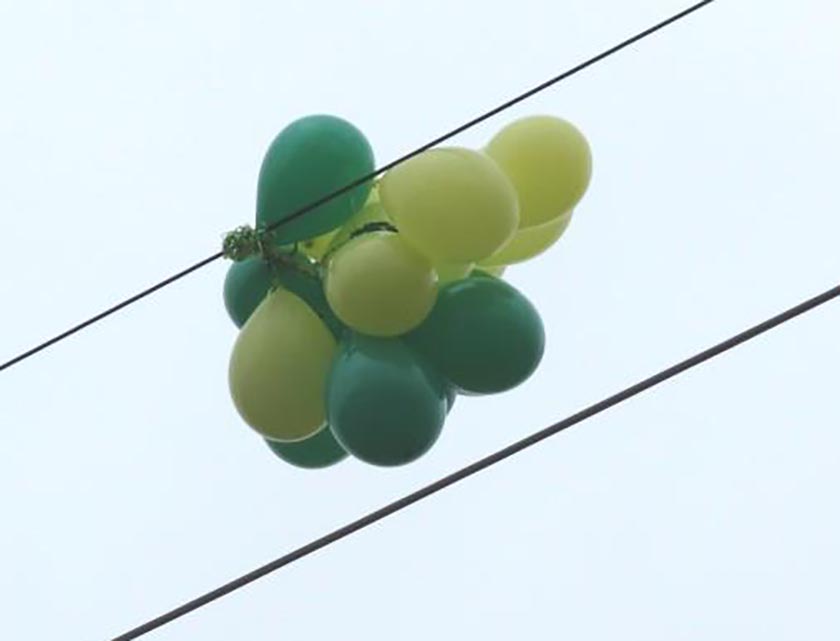 IMG_5115 сжатый.jpg