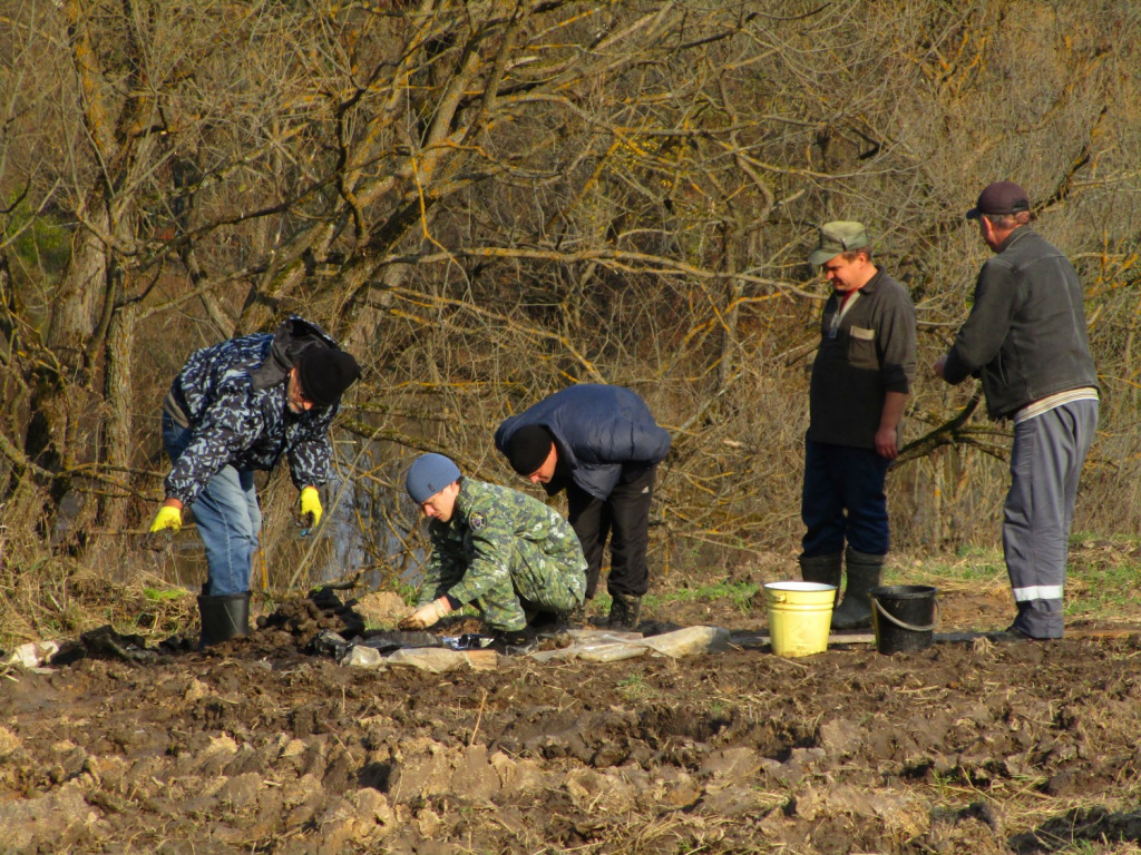 Раскопки Крюково 2.jpg