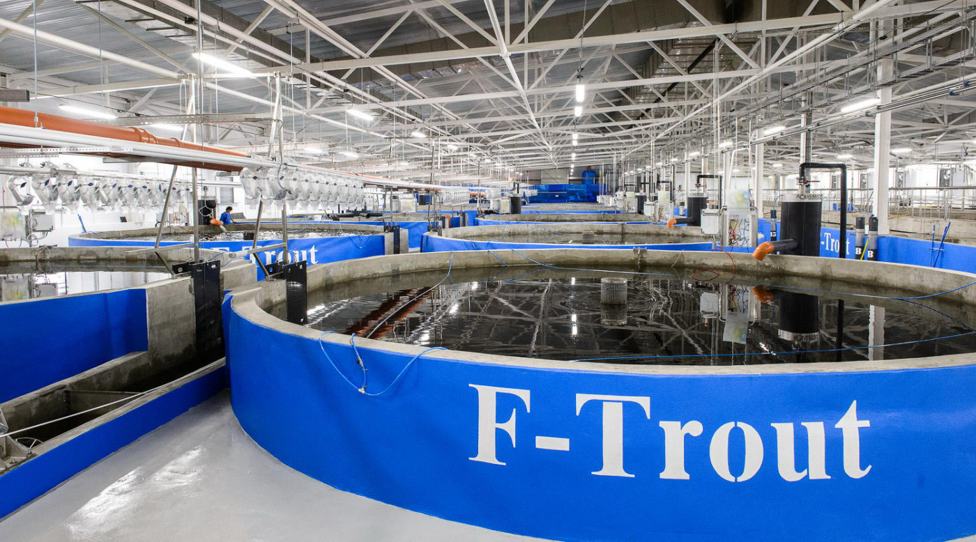 В рыбхозе Ф-Траут.jpg