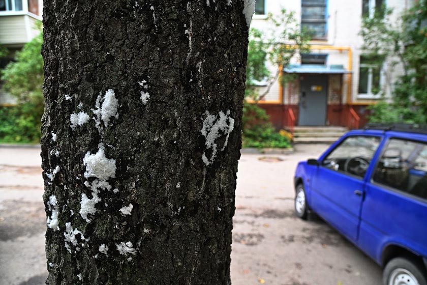 DSC_6871_новый размер.JPG