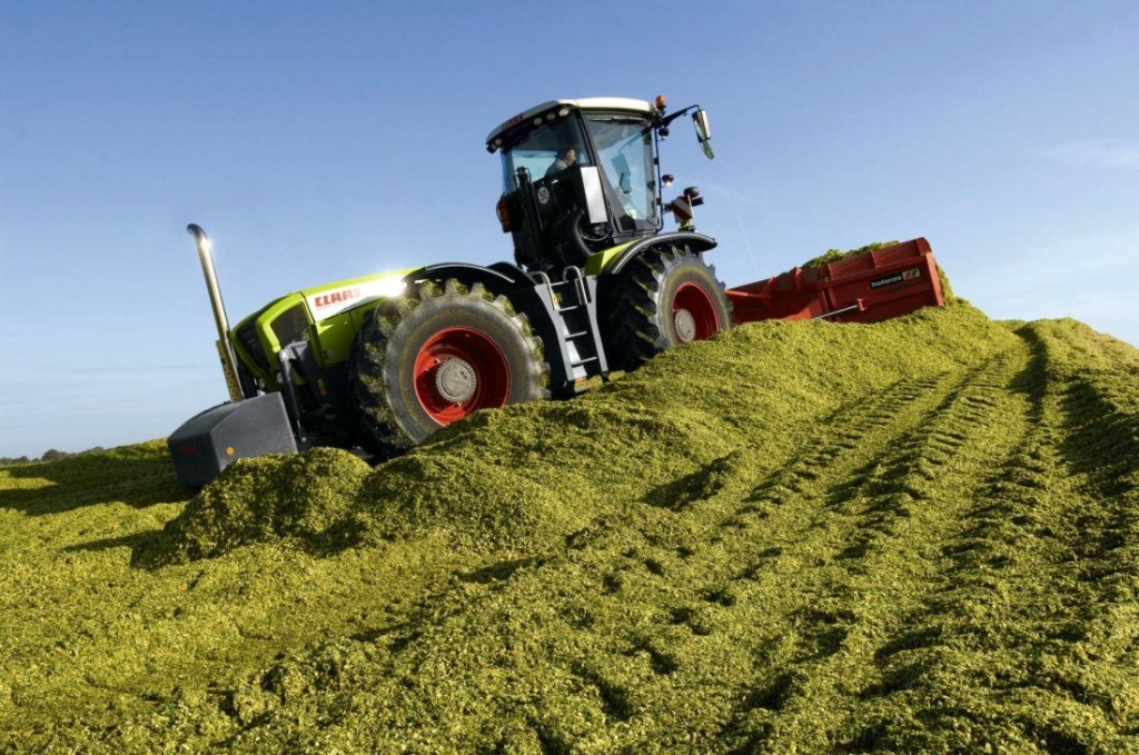 Трамбовка кормов в Ульяновском районе.jpg