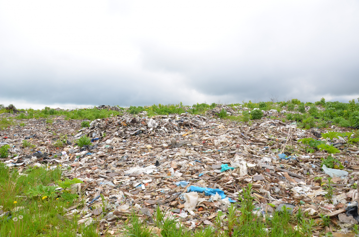 полигон до начала работ 1.JPG