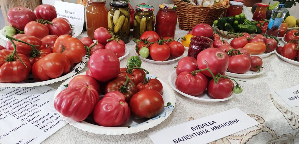 IMG_20210819_104406 - 1.jpg