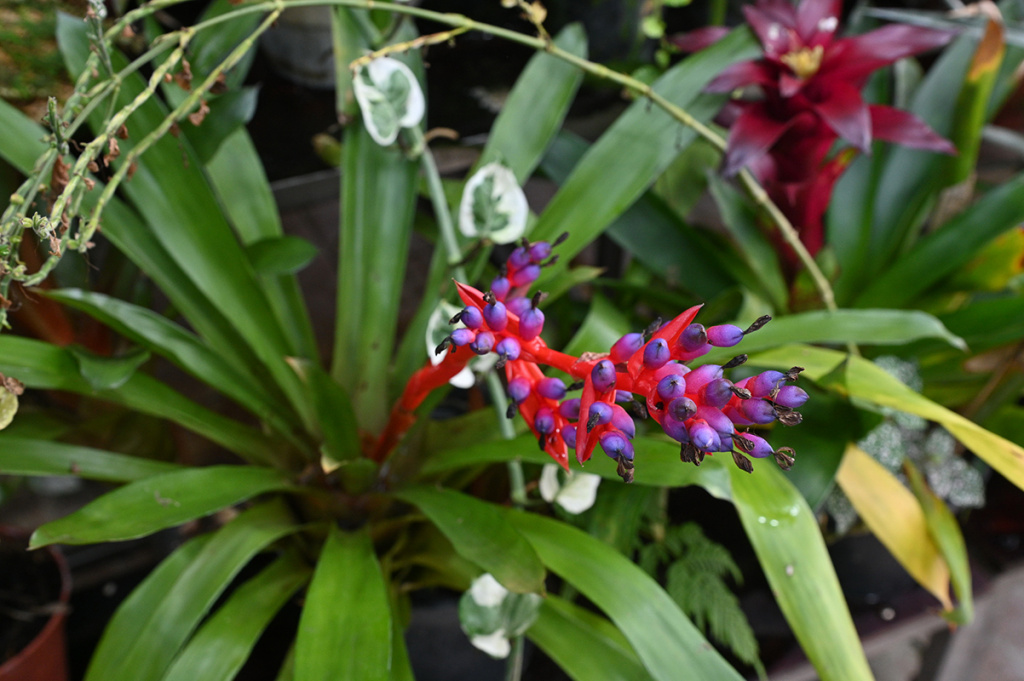 DSC_0105_новый размер.JPG