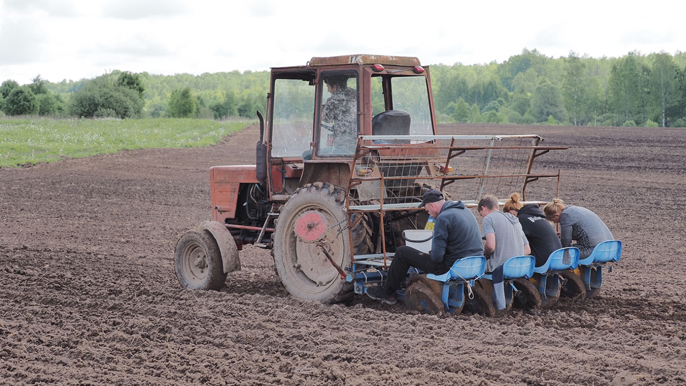 Посадка кабачков.jpg