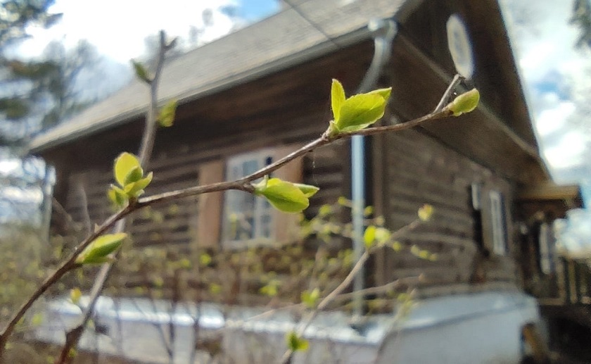 WhatsApp Image 2022-04-28 at 15.13.14 (1).jpeg