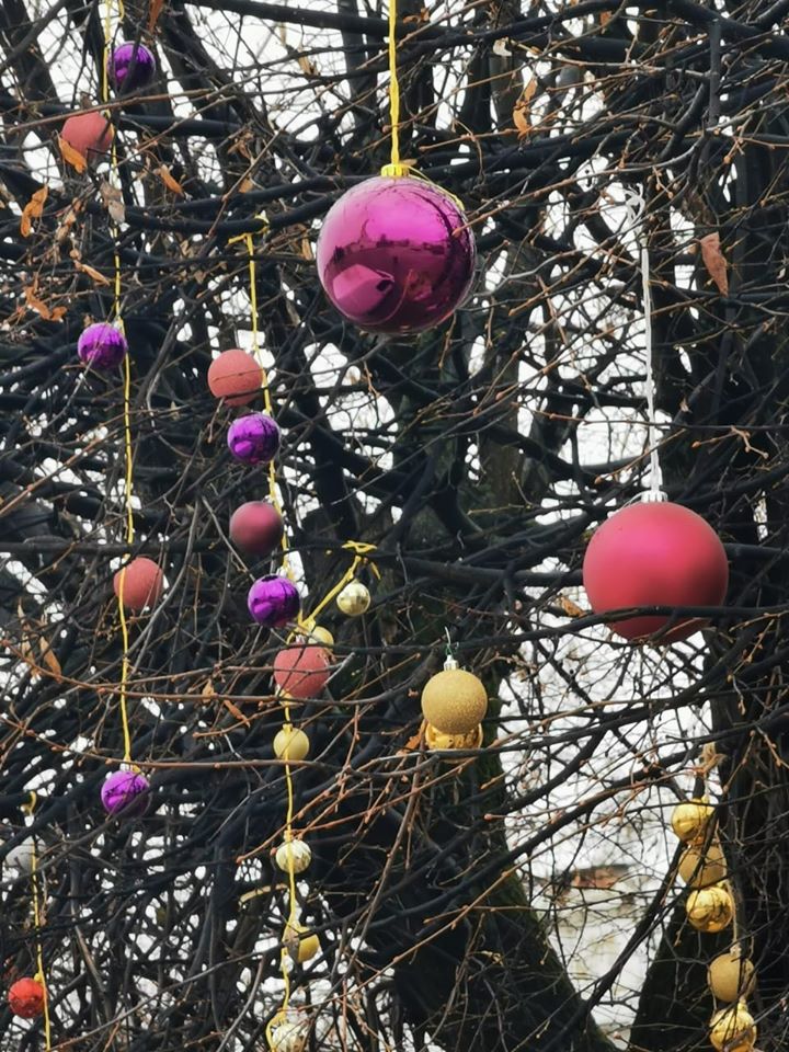 77244198_10217723236606808_8917533175257759744_o.jpg 77244198_10217723236606808_8917533175257759744_o.jpg