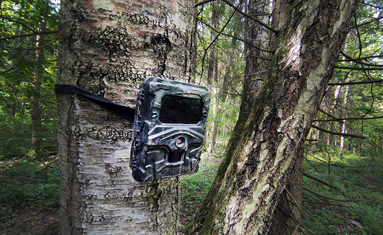 Фото В Кормильцева_69.jpg