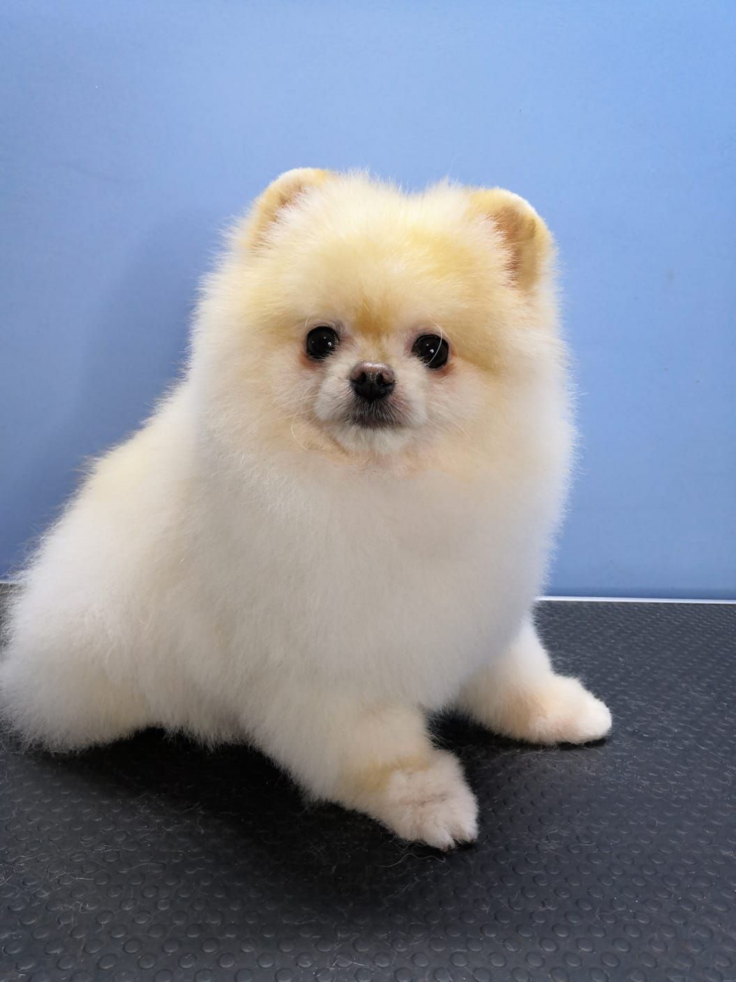 WhatsApp Image 2022-09-13 at 14.20.47 (1).jpg