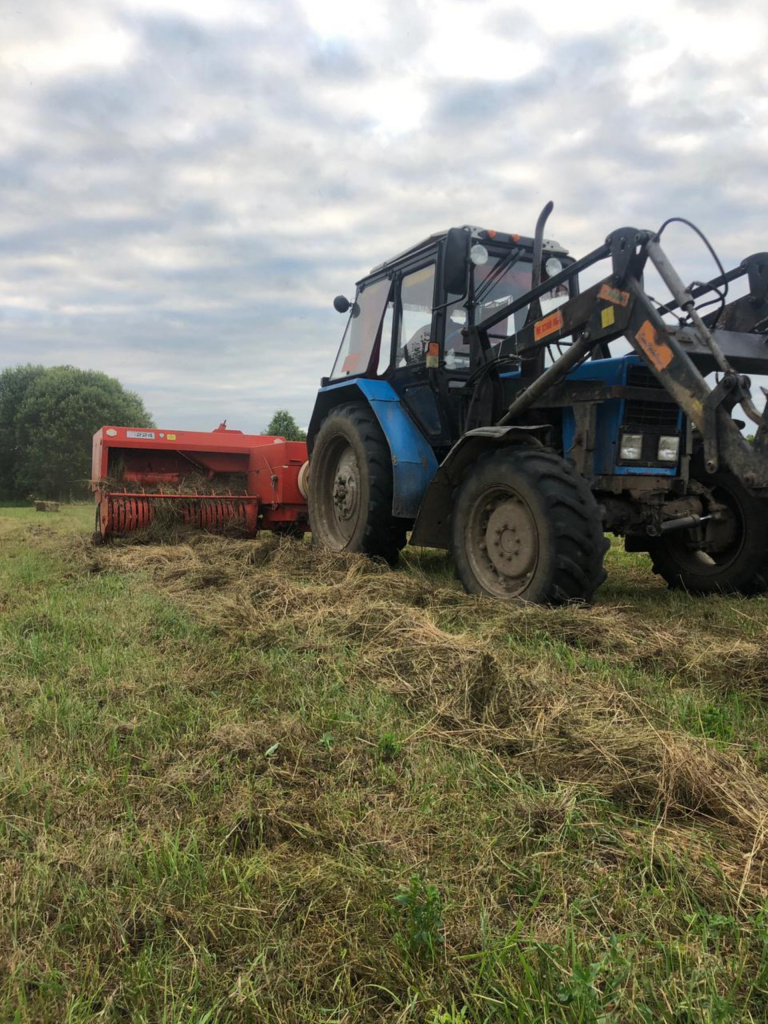 InShot_20210702_045337777 (1).jpg