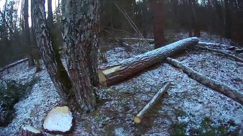 b803a110-ce1a-478a-8169-f9a0ea1b072c.jpg b803a110-ce1a-478a-8169-f9a0ea1b072c.jpg