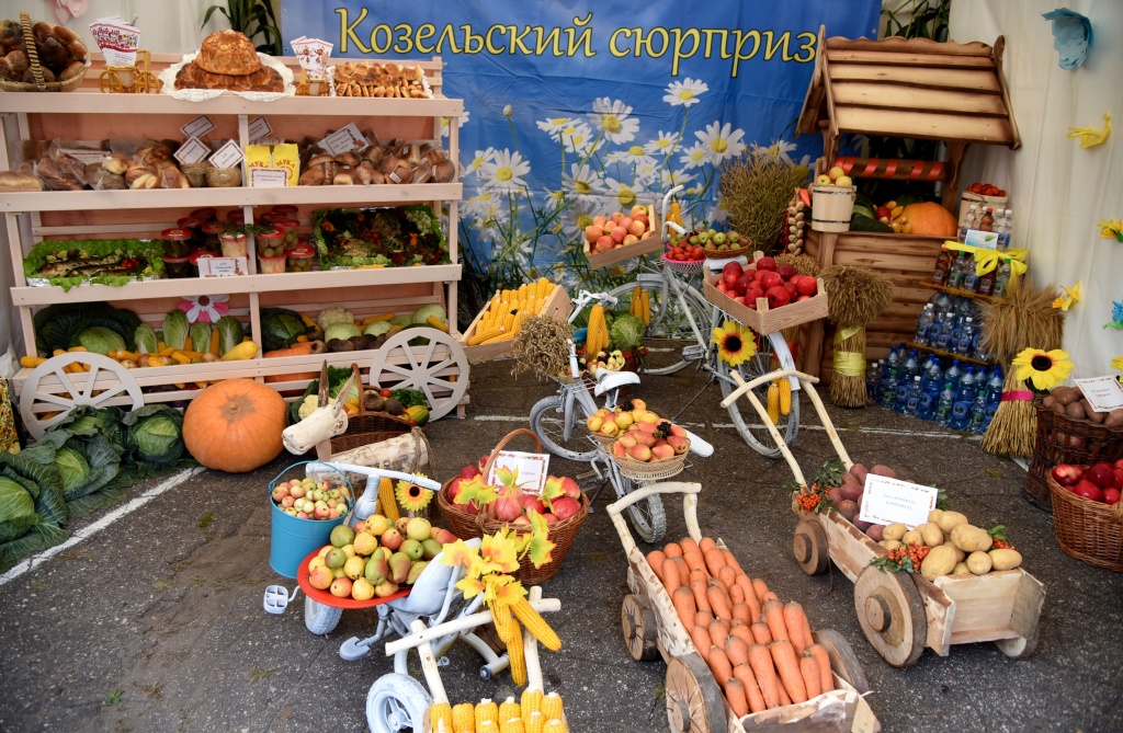 Экспозиция Козельского района.JPG