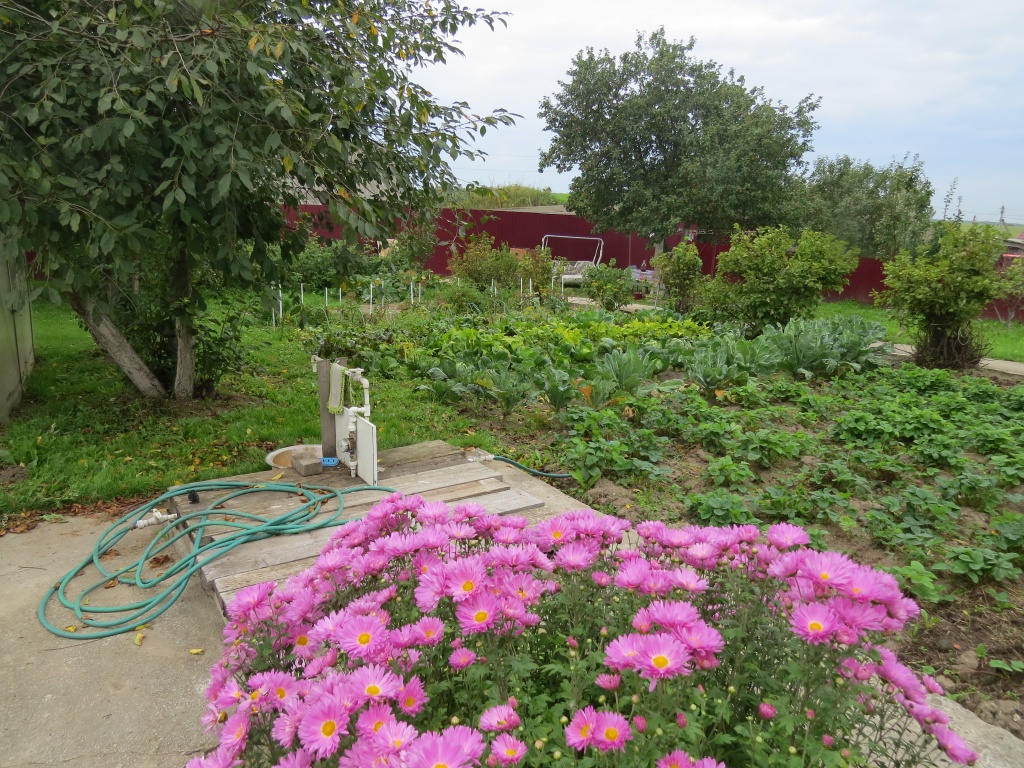 Участок Головёнковых 2.JPG