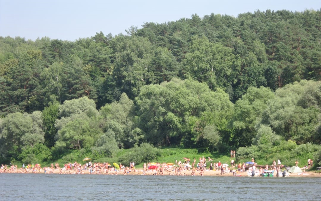 На тарусских пляжах - сотни отдыхающих.jpg