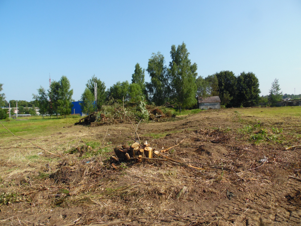 скоро на этом пустыре будет универсальная спортивная площадка.JPG