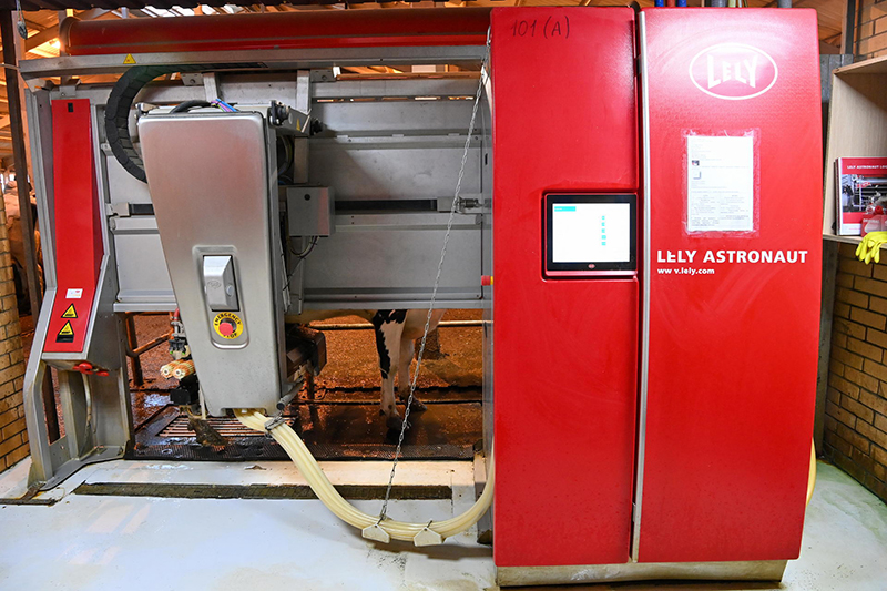 робот кфк рябцево.jpg