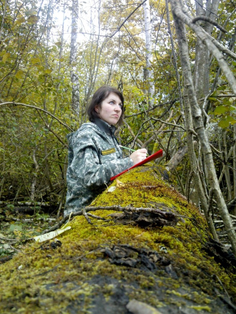 Ольга Миронова. Как расшифровать «письмена» короеда-типографа 840_IMG_20110114_082337.jpg