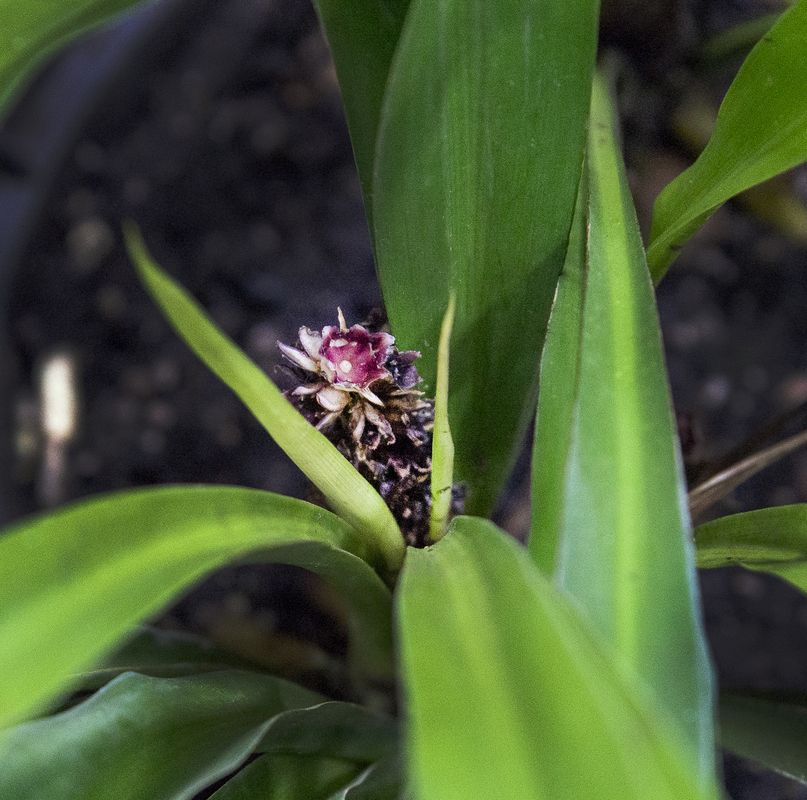 Фото В Кормильцева_10_1.jpg