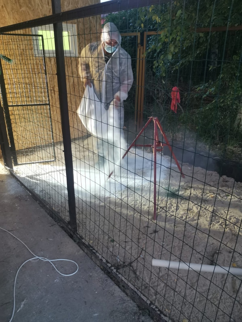 ckLskSpVBhTLrCJk16ZThn1fpWFiI_JLqbe0IfhapNcmTacsFgGacFaQcSe2DROu0YP77jlxbw5rL4GF2pBtsRG4 (1).jpg