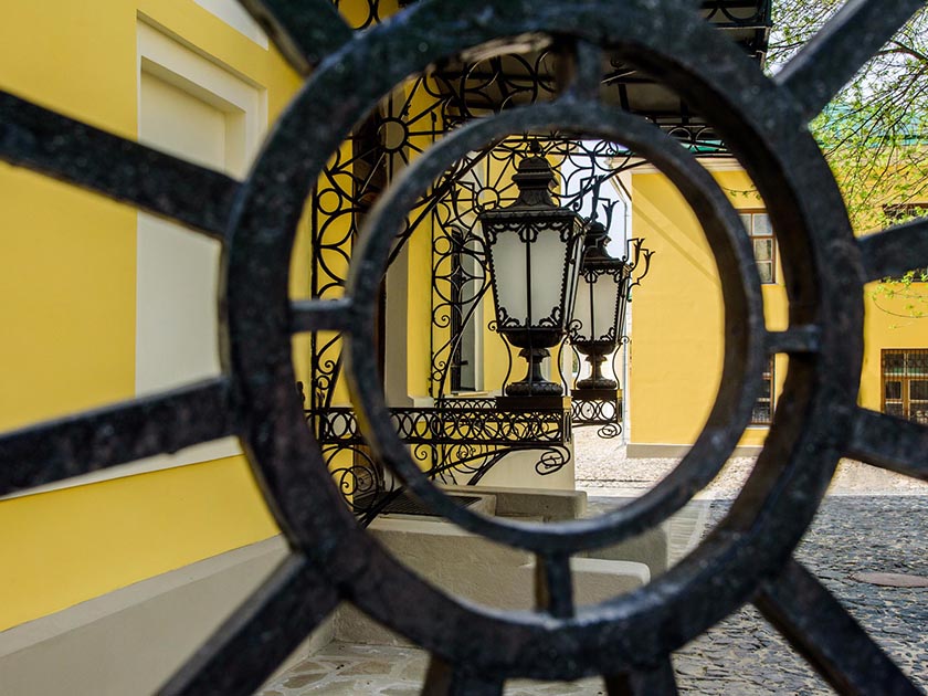 DSC_6464_новый размер.jpg