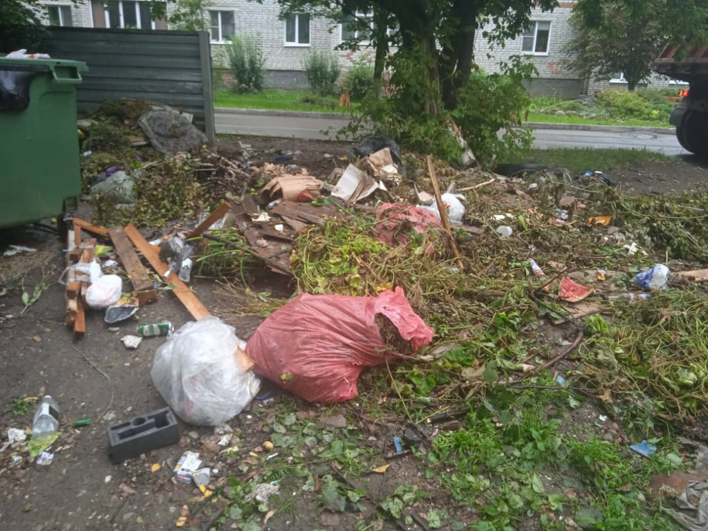 до ликвидации несанкционированной свалки по ул. Крупской, 15.jpg