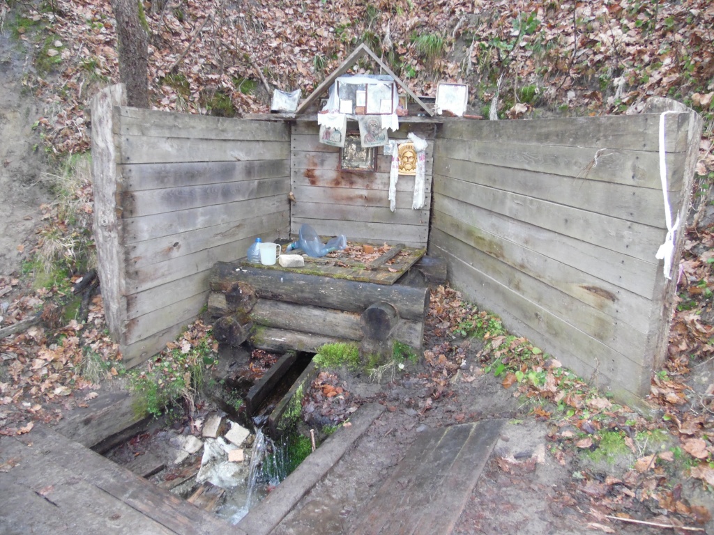 Буковский источник. Он имеет неприглядный вид, но в скором времени преобразится..JPG