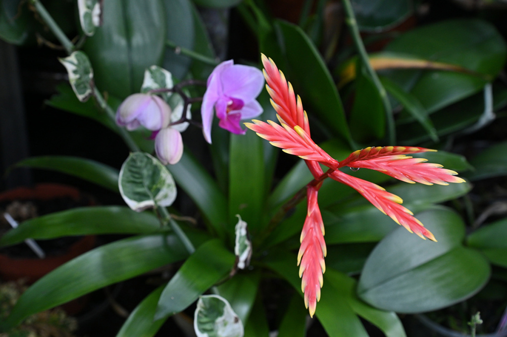 DSC_0103_новый размер.JPG