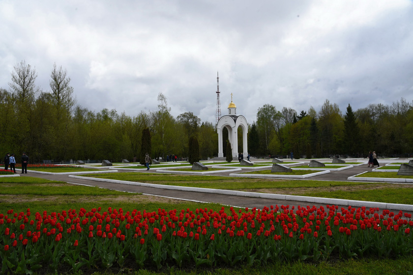 DSC_7104_новый размер.JPG