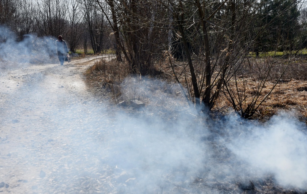 DSC_0721_новый размер.JPG