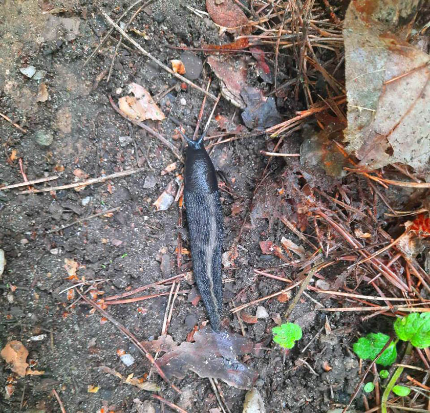 69f9ef51-2268-42b7-b494-45dd41e31104.jpg 69f9ef51-2268-42b7-b494-45dd41e31104.jpg