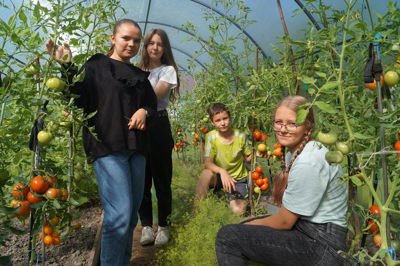 Ребята из агрокласса вырастили отличный урожай.jpg