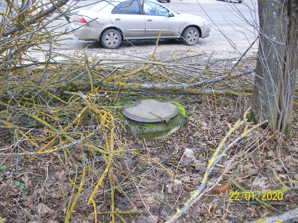 Боровск Бердникова.jpg