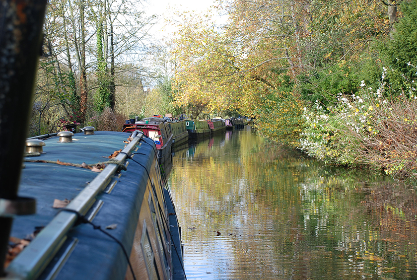 Оксфорд 5.JPG