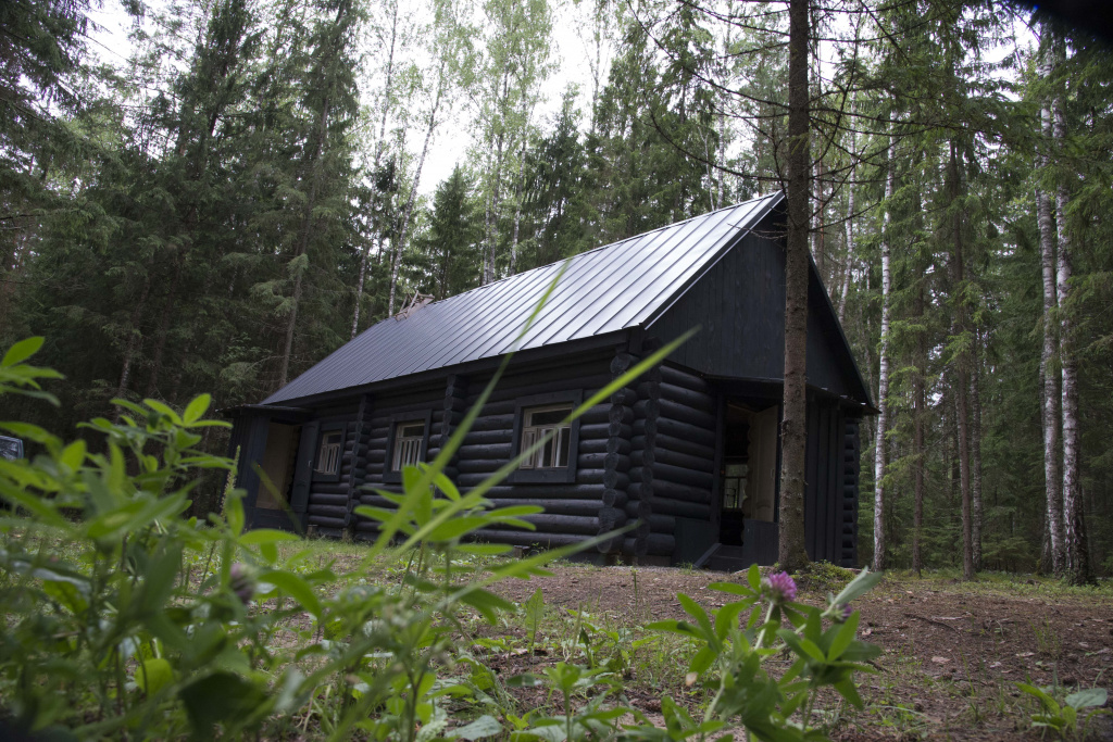 фото Кормильцева_21.jpg