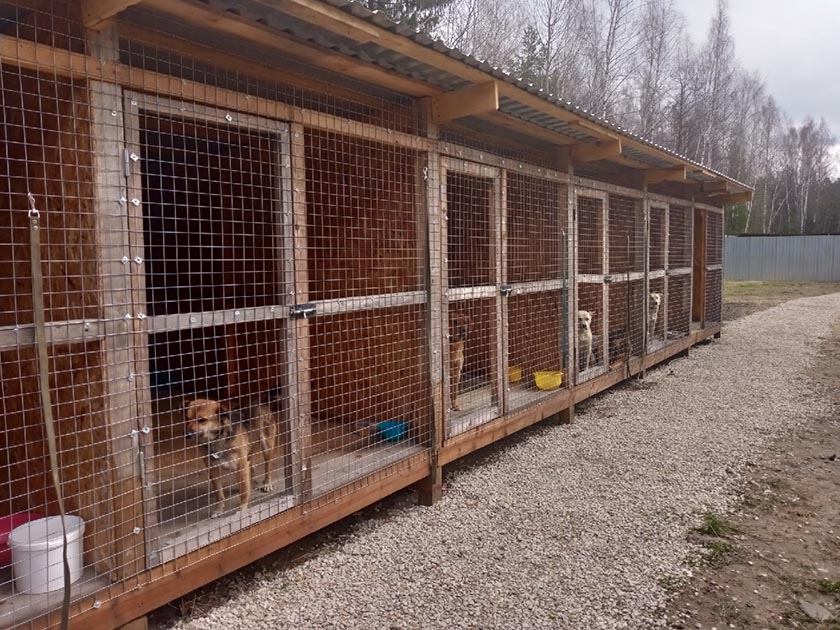 P10426-130945.jpg P10426-130945.jpg