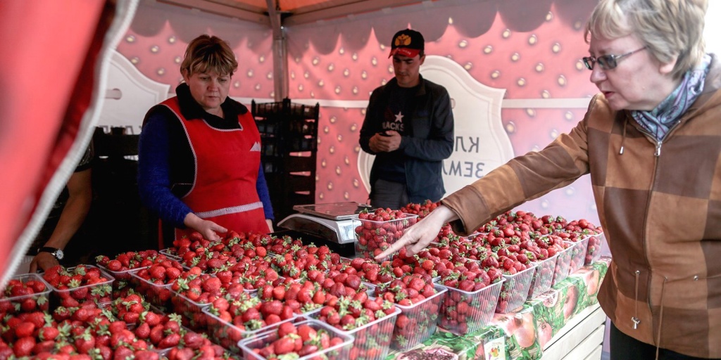 Калужские фермеры реализуют клубнику на ярмарке в Москве.jpg