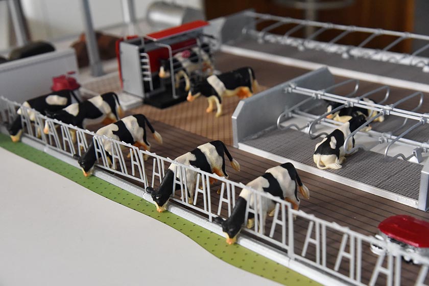 DSC_8130_новый размер.JPG