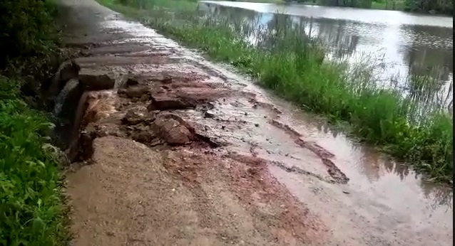 Милотичи пруд.jpg