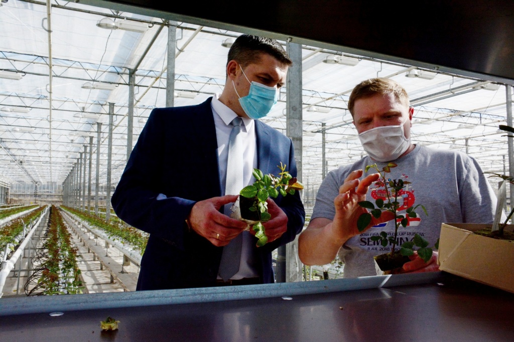 Парфенов и Ровнейко .jpg