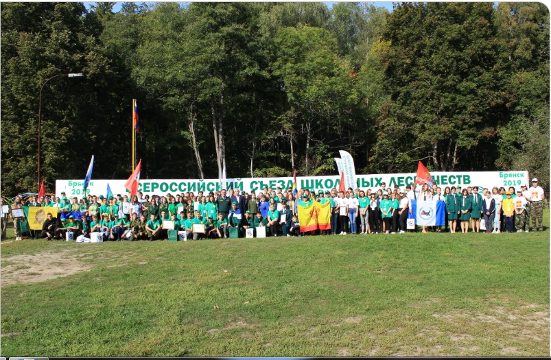 Сайт федерального агентства лесного хозяйства.jpg