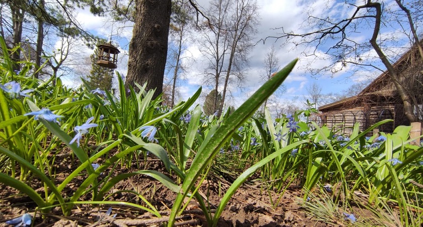 WhatsApp Image 2022-04-28 at 15.13.15.jpeg