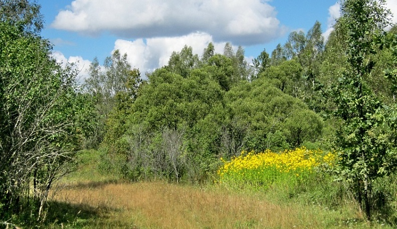 В Калужской области утвердили границы ещё одного памятника природы