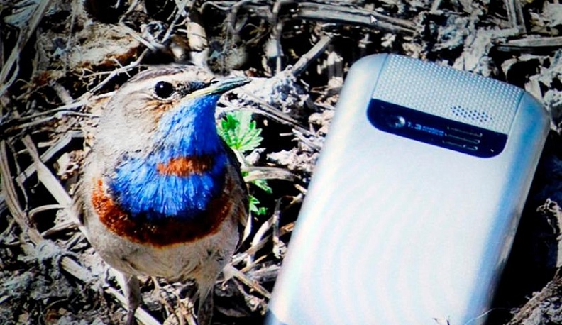 Калужские студенты подготовились к фотоохоте 